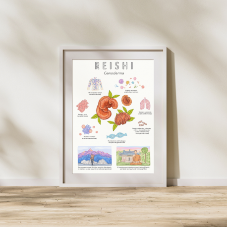 Plakat Reishi - Ganoderma - 48 cm x 68 cm
