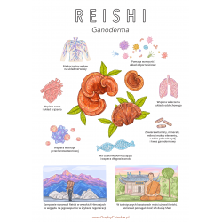 Plakat Reishi - Ganoderma - 48 cm x 68 cm
