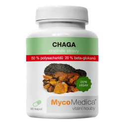 Chaga 50% Suplement diety - MycoMedica