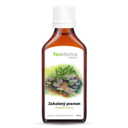 Nalewka Li Shui Pai Shi Pian - 093 Mętne źródło - YaoMedica