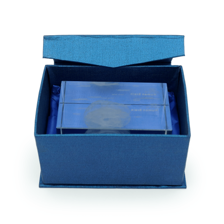 Model mózgu 3D w szkle - 10 cm - ZYTH