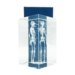 Model szkieletu 3D w szkle - 10 cm - ZYTH