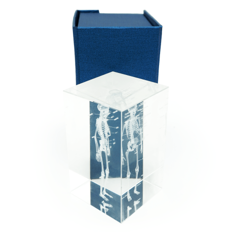 Model szkieletu 3D w szkle - 10 cm - ZYTH