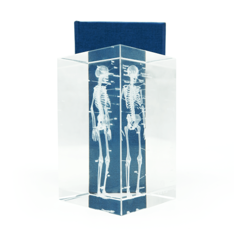 Model szkieletu 3D w szkle - 10 cm - ZYTH
