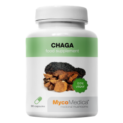 Chaga Suplement diety