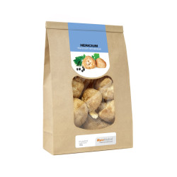 Hericium - suszone grzyby