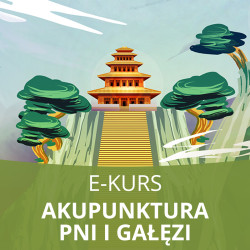 E-Kurs: Akupunktura Niebiańskich Pni i Ziemskich Gałęzi