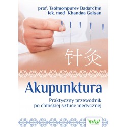 Akupunktura - Praktyczny przewodnik po chińskiej sztuce medycznej