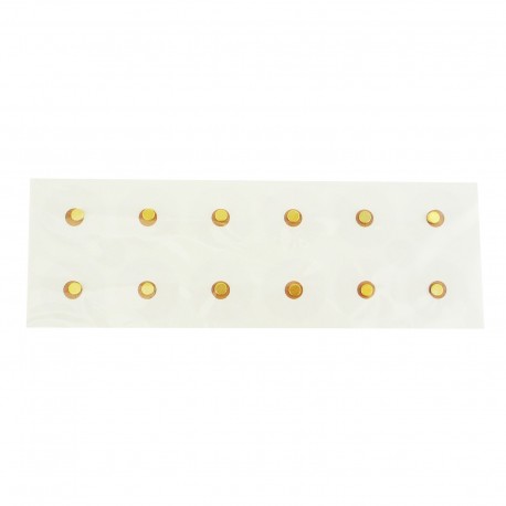Plastry z magnesami o mocy 6000 Gauss'ów pokryte 24k złotem 12 szt.